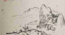 我国职业资格证书市场上大部分是山寨证书